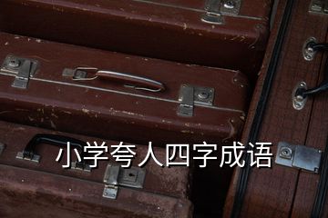 小學(xué)夸人四字成語