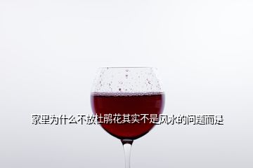 家里為什么不放杜鵑花其實(shí)不是風(fēng)水的問(wèn)題而是