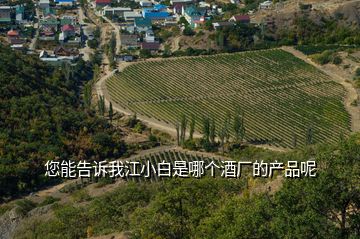您能告訴我江小白是哪個酒廠的產品呢