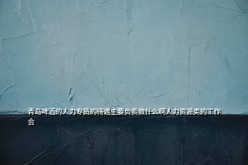青島啤酒的人力專員的待遇主要負(fù)責(zé)做什么啊人力資源類的工作會