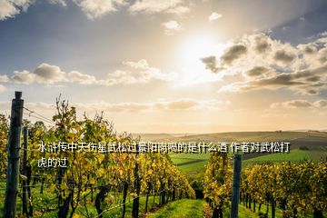 水滸傳中天傷星武松過(guò)景陽(yáng)崗喝的是什么酒 作者對(duì)武松打虎的過(guò)