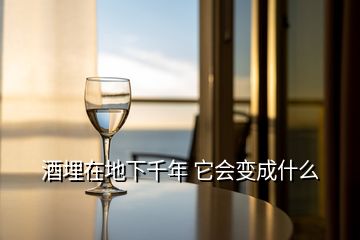酒埋在地下千年 它會(huì)變成什么