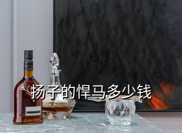 揚(yáng)子的悍馬多少錢