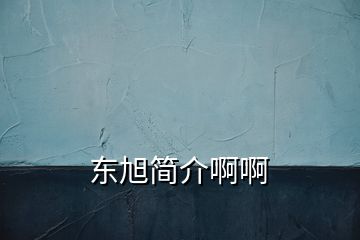 東旭簡(jiǎn)介啊啊