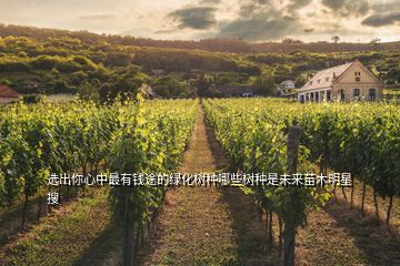 選出你心中最有錢途的綠化樹種哪些樹種是未來苗木明星  搜