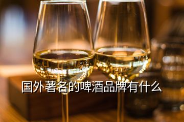 國外著名的啤酒品牌有什么