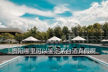 貴陽(yáng)哪里可以鑒定茅臺(tái)酒真假啊