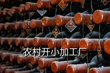 農(nóng)村開(kāi)小加工廠