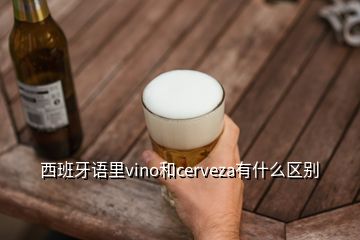 西班牙語里vino和cerveza有什么區(qū)別
