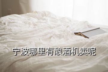 寧波哪里有釀酒機賣呢