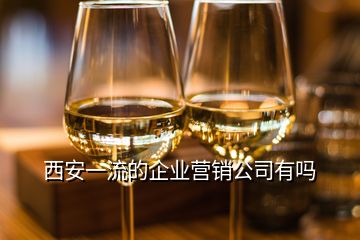 西安一流的企業(yè)營(yíng)銷(xiāo)公司有嗎