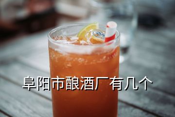 阜陽(yáng)市釀酒廠有幾個(gè)