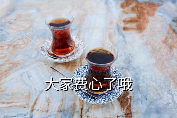 大家費心了哦