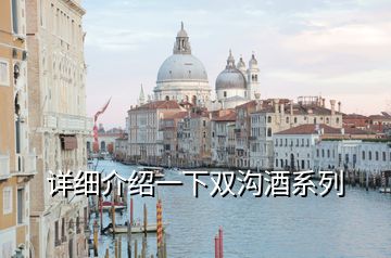 詳細(xì)介紹一下雙溝酒系列