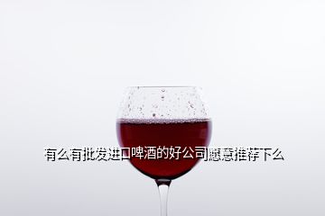 有么有批發(fā)進(jìn)口啤酒的好公司愿意推薦下么