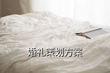 婚禮策劃方案