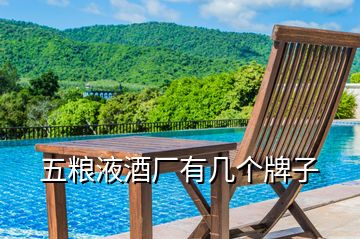 五糧液酒廠(chǎng)有幾個(gè)牌子