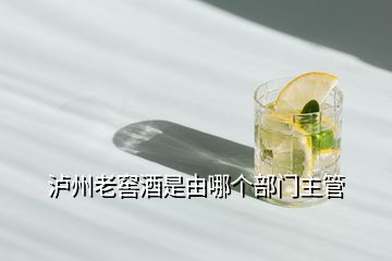 瀘州老窖酒是由哪個部門主管