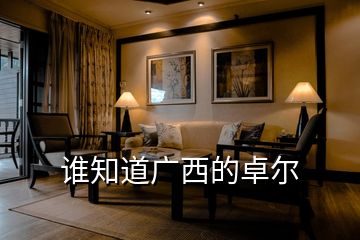 誰知道廣西的卓爾