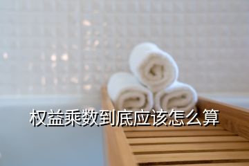 權(quán)益乘數(shù)到底應(yīng)該怎么算