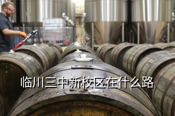 臨川三中新校區(qū)在什么路