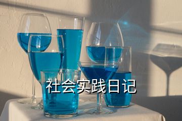 社會實(shí)踐日記