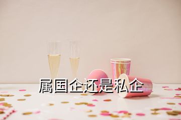 屬國企還是私企