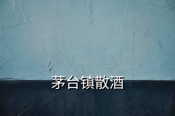 茅臺(tái)鎮(zhèn)散酒