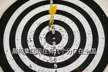 晨鳴集團(tuán)現(xiàn)在有幾個(gè)分廠在全國(guó)