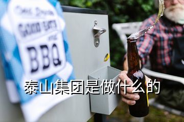 泰山集團是做什么的