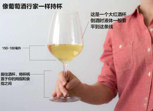 正確的端紅酒杯是怎樣的？為什么要搖晃酒杯呢？