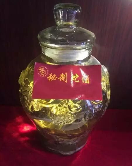 三蛇酒多少錢一瓶，龍山三蛇酒價(jià)格表