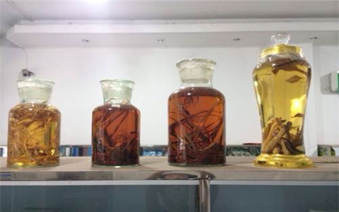 祛寒養(yǎng)生一般用什么藥酒好？這幾種藥酒值得信賴