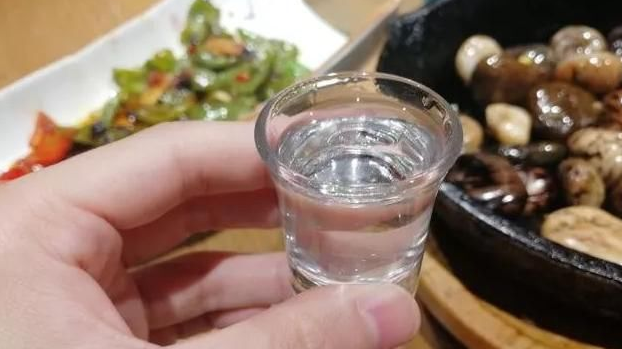 酒桌上酒司令和知客是指什么？