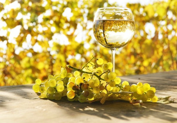 白葡萄酒可以去除紅酒漬嗎？白葡萄酒去除紅酒漬的方法