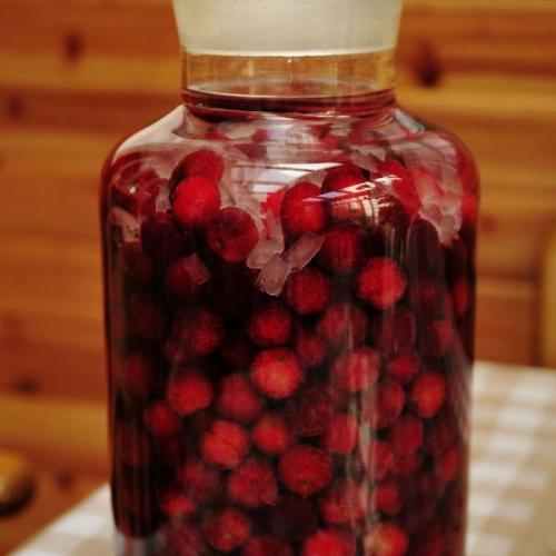 楊梅泡酒有什么功效？怎么用楊梅泡酒？