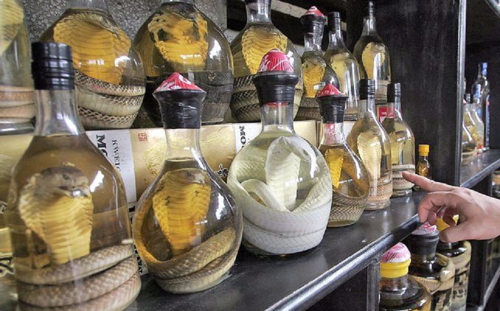 毒蛇泡酒多久才能喝？毒蛇泡酒多久才會死？