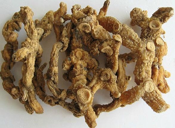 黃精可以泡酒嗎？黃精的泡酒方法