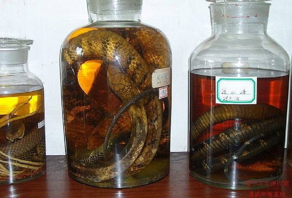藥酒用什么酒泡好，泡藥酒必看