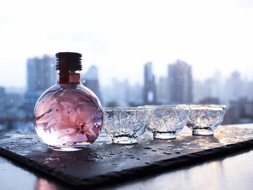如何制作櫻花酒？櫻花酒有什么功效？