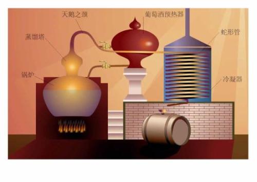 干邑是如何釀造的？釀造干邑的葡萄是哪種？