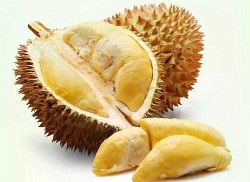 榴蓮和啤酒一起吃油什么后果？吃完榴蓮多久能喝啤酒？