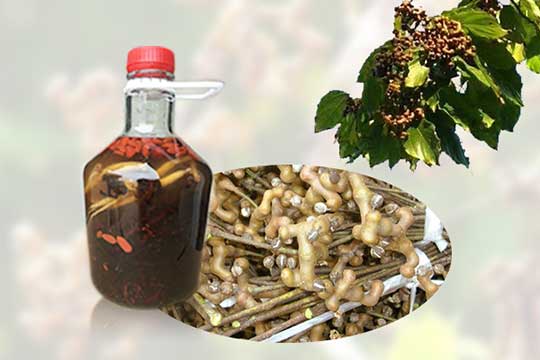 拐棗和什么一起泡酒好，和人參一起泡酒好嗎？