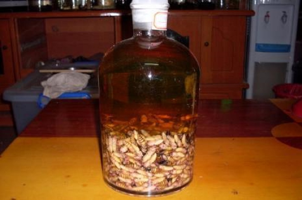 蜂蛹泡酒的方法，功效有哪些