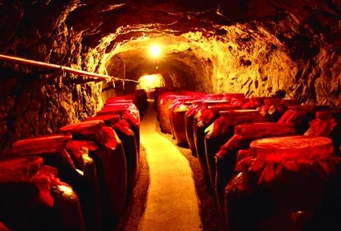 如何自建酒窖？自建酒窖造價(jià)一般是多少？