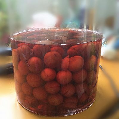 李子酒的釀制方法，李子酒的功效與作用