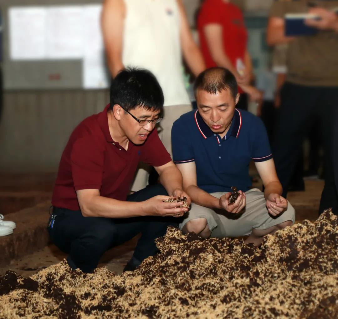 茅臺集團(tuán)七輪次酒開烤首日高衛(wèi)東、李靜仁赴制酒車間調(diào)研