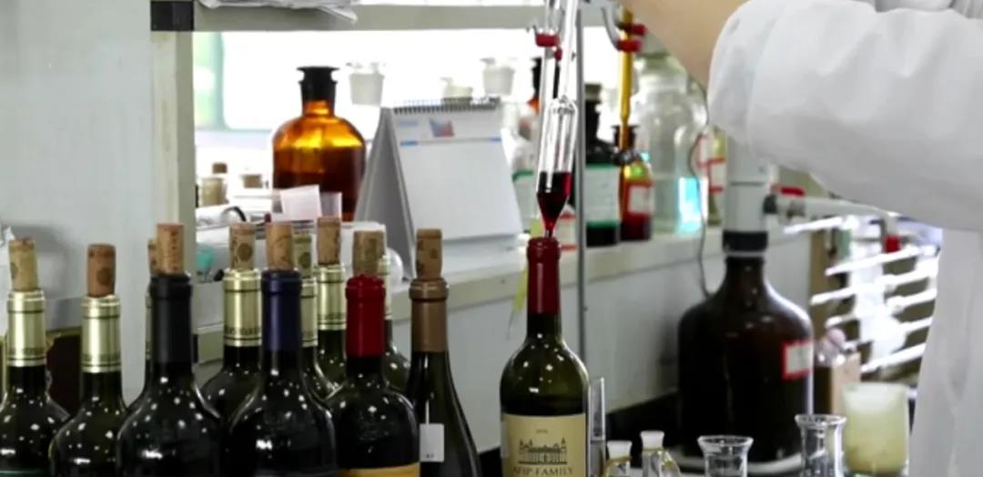 張裕如何下好“葡萄酒首個區(qū)塊鏈平臺”這盤大棋？