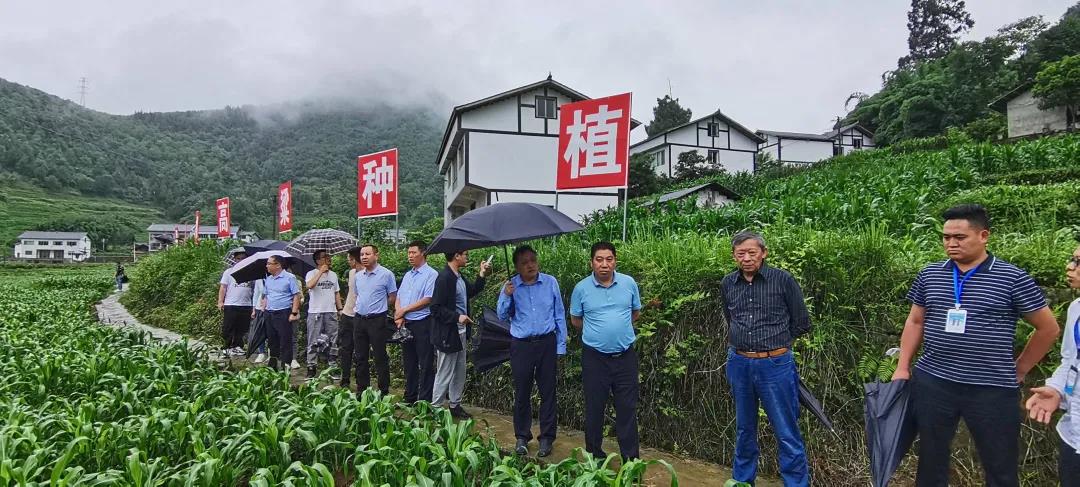 茅臺所在仁懷酒協(xié)出手，劍指高粱原料關(guān)