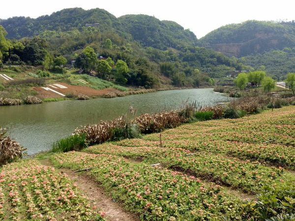 52度瀘州清溪谷m10價(jià)格(52度瀘州清溪谷m10價(jià)格)